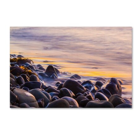 Trademark Fine Art Chris Moyer 'Wet Rock Reflections' Canvas Art, 22x32 ALI0767-C2232GG